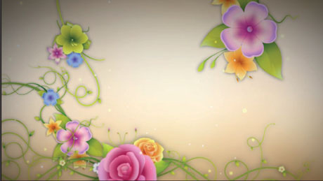 Trellis Blooms Animated Canvases Trellis Blooms Animated Canvases