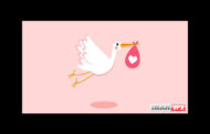 دانلود پروژه آماده افترافکت Baby Gallery