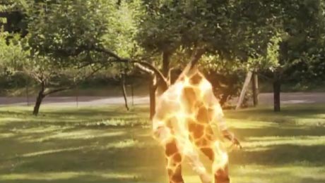 آموزش جلوه های ویژه با افترافکت , افکت Teleportation