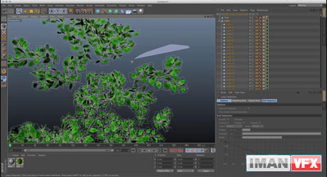 Object Manager در Cinema 4D