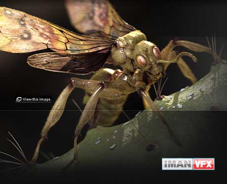 zbrush_tutorial_14 آموزش Zbrush,آموزش Zbrush R6,آموزش Zbrush از دیجیتال تاتورز