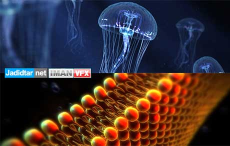 Cinema4d R15 , آموزش Cinema 4d R15 , پلاگین Cinema 4d R15